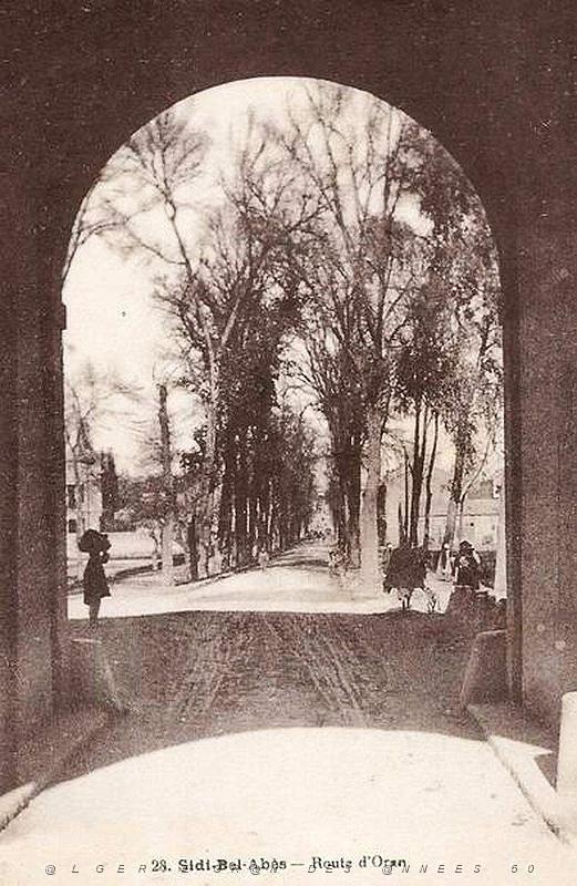 Sidi bel abbes 358.jpg